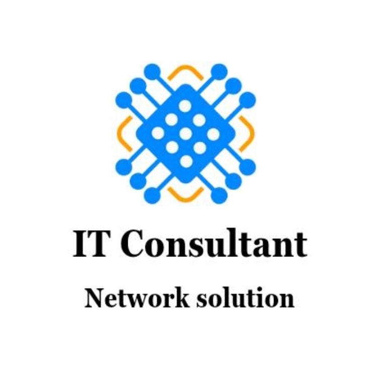 IT Consultant